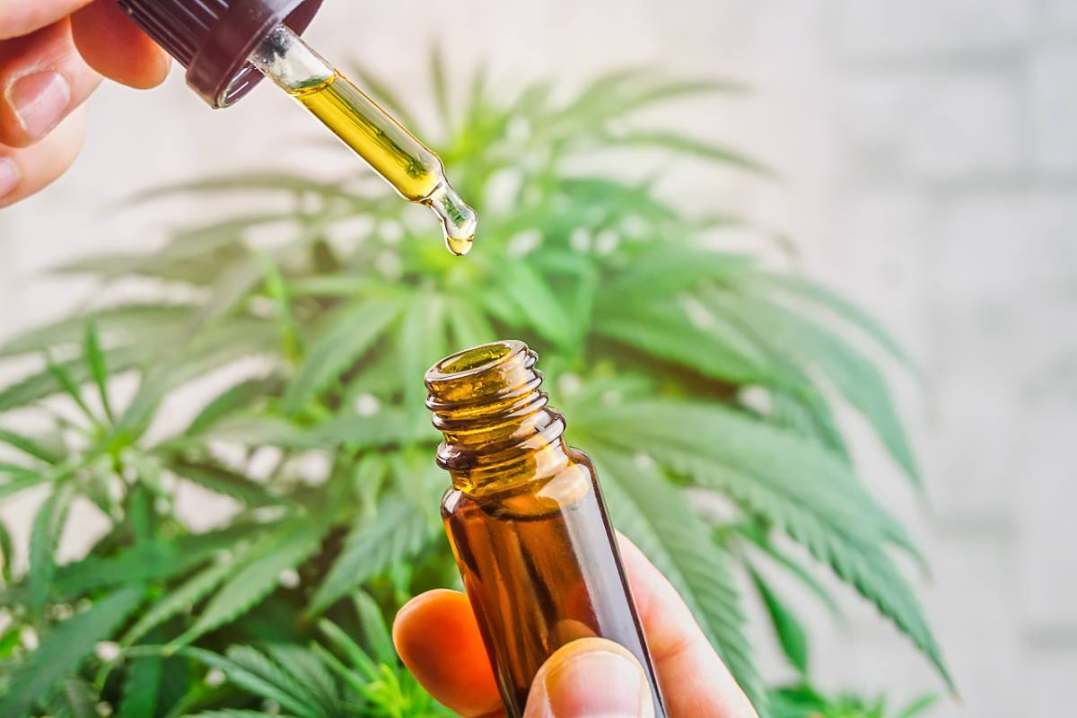 Qu'est ce que le CBD ? Comprendre ce qu'est le cannabidiol